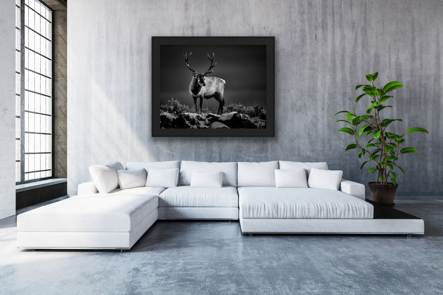 "Stag" Limited Edition Print